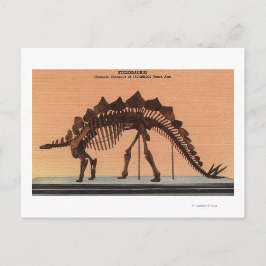 Denver, Colorado - Museum voor Natuurgeschiedenis  Briefkaart (Voorkant)