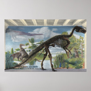 Denver, Colorado - Museum voor Natuurgeschiedenis  Poster