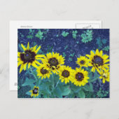 Denver daisies briefkaart (Voorkant / Achterkant)