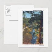 Denver Mountain Park, CO - Beer Creek Canyon Briefkaart (Voorkant / Achterkant)