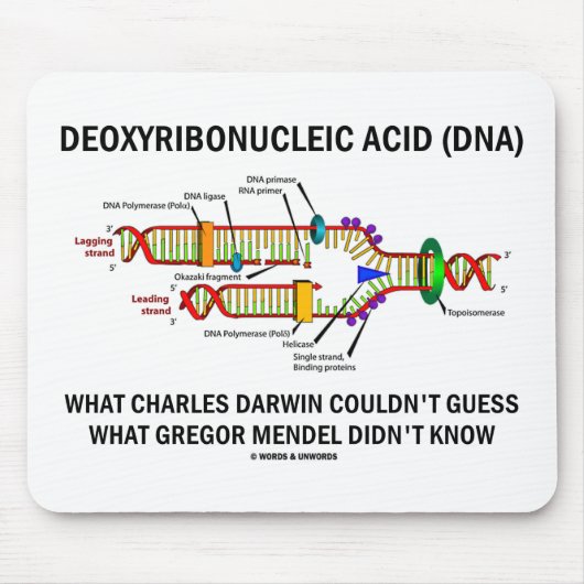 Deoxyribonucelinezuur (DNA) Mendel Darwin Muismat (Voorkant)
