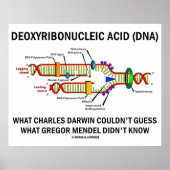Deoxyribonucleïnezuur (DNA) Darwin Mendel Gezegde Poster (Voorkant)