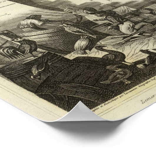 Dept alle slaapkamertjes poster (Hoek)