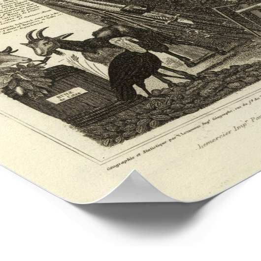 Dept elke slaapmuis poster (Hoek)