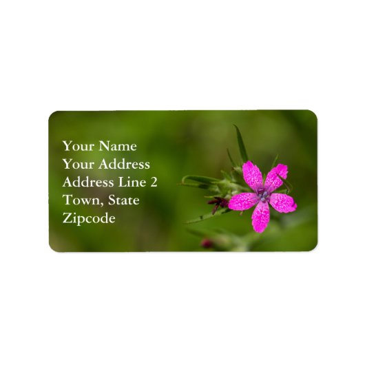Deptford Pink Wildflower Floral Labels (Voorkant)