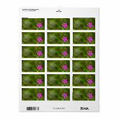 Deptford Pink Wildflower Floral Labels (Full Sheet)