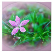 Deptford Pink Wildflower Tegeltje (Voorkant)