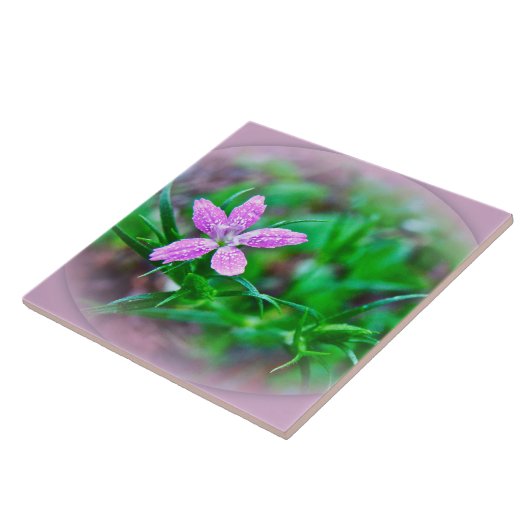 Deptford Pink Wildflower Tegeltje (Zijkant)