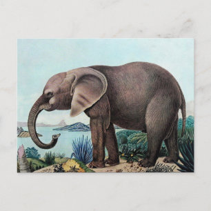 Der Afrikanische Elefant of The African Elephant Briefkaart