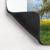 Der alte Baum Muismat (Hoek)