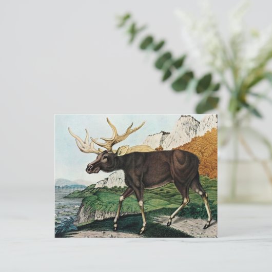 Der Elch of The Elk (1886) Briefkaart (Staand voorkant)