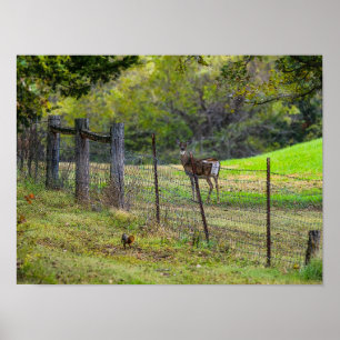 Der en eekhoorn schilder poster
