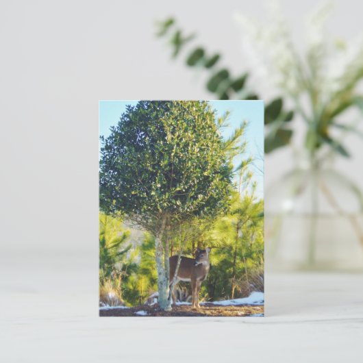 Der- en Holly-bessenboom in sneeuw Briefkaart (Staand voorkant)