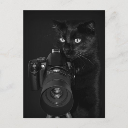 Der Fotograf - Postkarte Briefkaart (Voorkant)