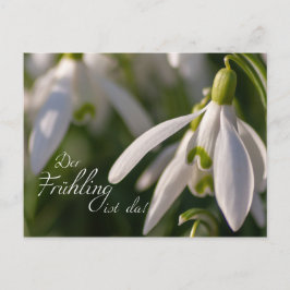 Der Frühling ist da! Briefkaart