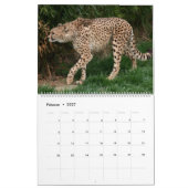 Der Gepard Kalender (Feb 2027)