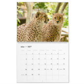 Der Gepard Kalender (Mar 2027)