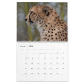 Der Gepard Kalender (Jan 2026)