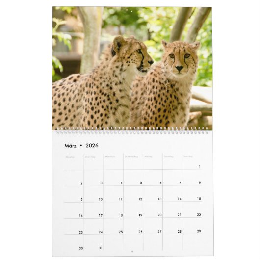 Der Gepard Kalender (Mar 2026)