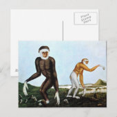 Der Gibbon of The Gibbon (1833) Briefkaart (Voorkant / Achterkant)