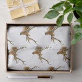 Der Head met Middelgrote Antlers #1 Tissuepapier (Geschenk)