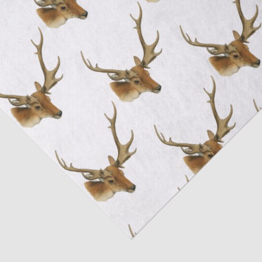 Der Head met Middelgrote Antlers #1 Tissuepapier (Detail)