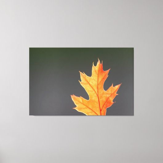 Der Herbst von seiner schönsten Seite Canvas Afdruk (Voorkant)