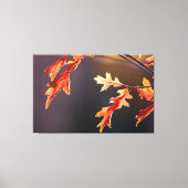 Der Herbst von seiner schönsten Seite Canvas Afdruk (Voorkant)