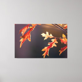 Der Herbst von seiner schönsten Seite Canvas Afdruk