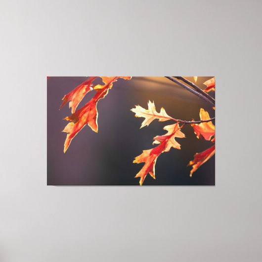 Der Herbst von seiner schönsten Seite Canvas Afdruk (Voorkant)