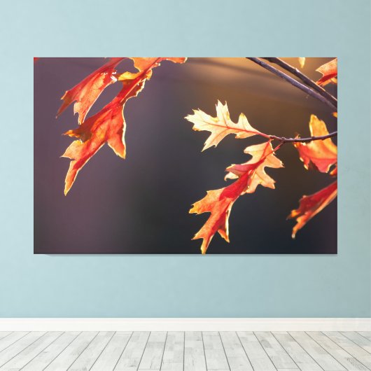 Der Herbst von seiner schönsten Seite Canvas Afdruk (Insitu (Houten vloer))