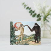 Der Hulock of The Hoolock Gibbon (1835) Briefkaart (Staand voorkant)