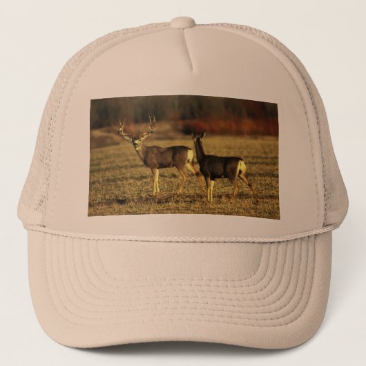 Der in de ochtendgloren trucker pet (Voorkant)