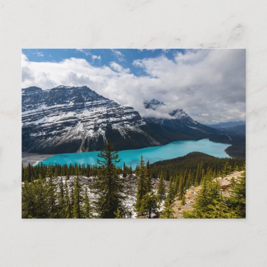 Der Lake Peyto in den Rocky Mountains Briefkaart (Voorkant)