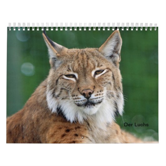 Der Luchs Kalender (Hoes)