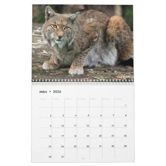 Der Luchs Kalender (Mar 2026)