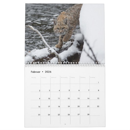 Der Luchs Kalender (Feb 2026)