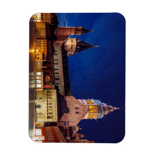 Der Mainzer Dom in Rheinland Pfalz Magneet (Verticaal)