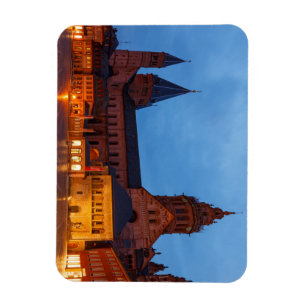 Der Mainzer Dom in Rheinland Pfalz Magnet Magneet
