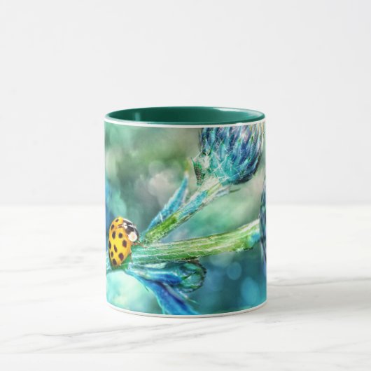 Der Marienkäfer Mok (Midden)