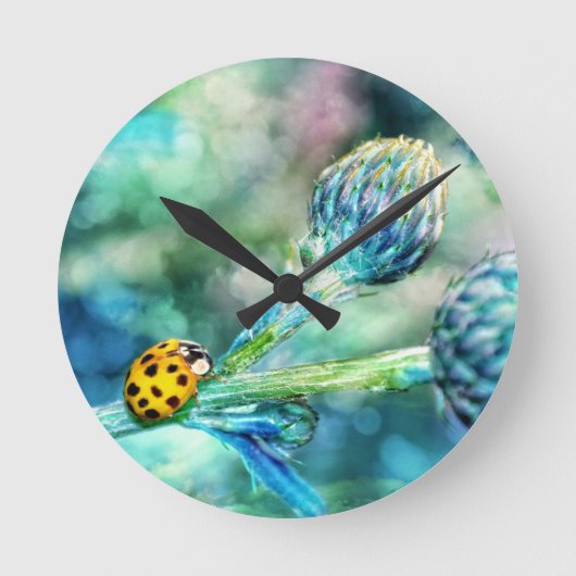 Der Marienkäfer Ronde Klok (Voorkant)