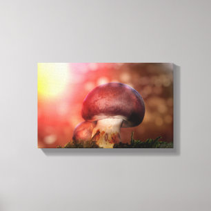 Der Pilz Canvas Afdruk