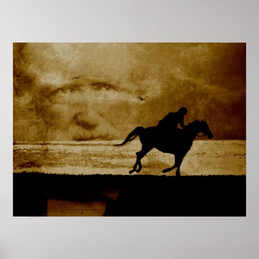 Der Schimmelreiter - Theodor Storm Poster (Voorkant)