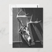 Der Skull en Antlers in Black en White Briefkaart (Voorkant / Achterkant)