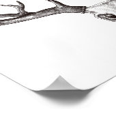  der Sull/Antlers Poster (Hoek)