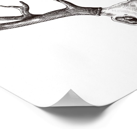  der Sull/Antlers Poster (Hoek)