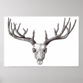  der Sull/Antlers Poster (Voorkant)