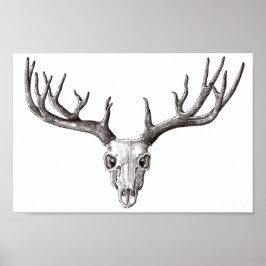  der Sull/Antlers Poster
