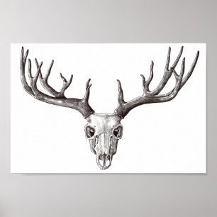  der Sull/Antlers Poster