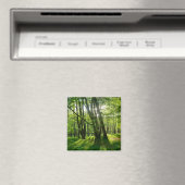 Der Wald im Frühling Magneet (Insitu (Vaatwasser))